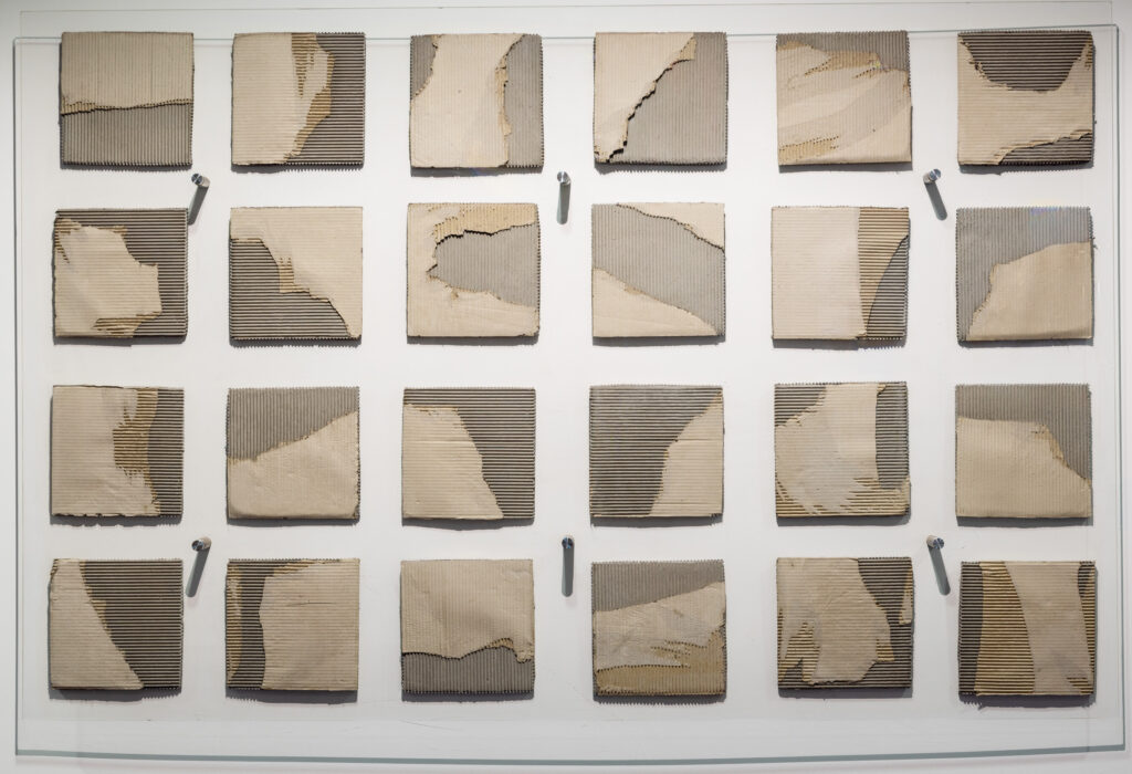 Unpacked Impressions, Rodney Spooner