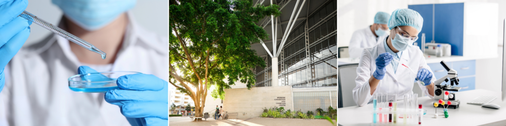 Images of scientists using lab equipment, petri dishes and microscopes. An additional image of the Brisbane Convention & Exhibition Centre main entrance.