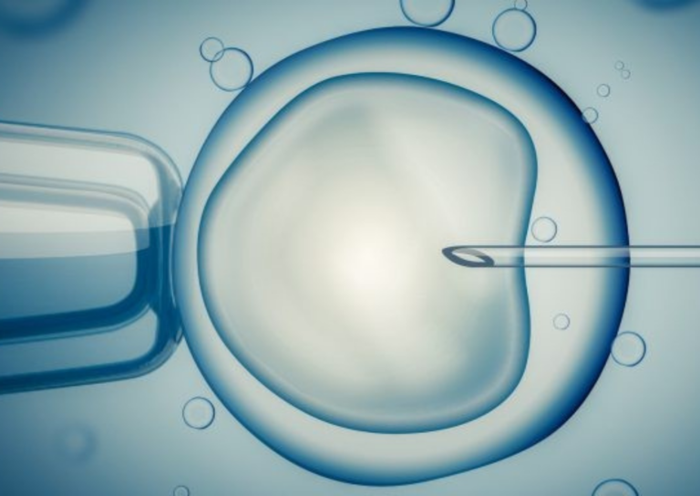A micro-injection is performed on a cell as seen in the Media Release Hero Image for Website 480x340px 1 2.