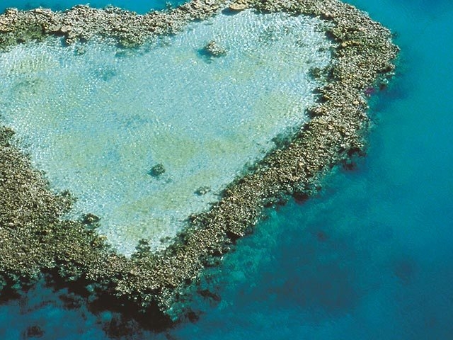 The iconic heart reef near Brisbane, Queensland, Australia, shimmers in the turquoise ocean waters.
